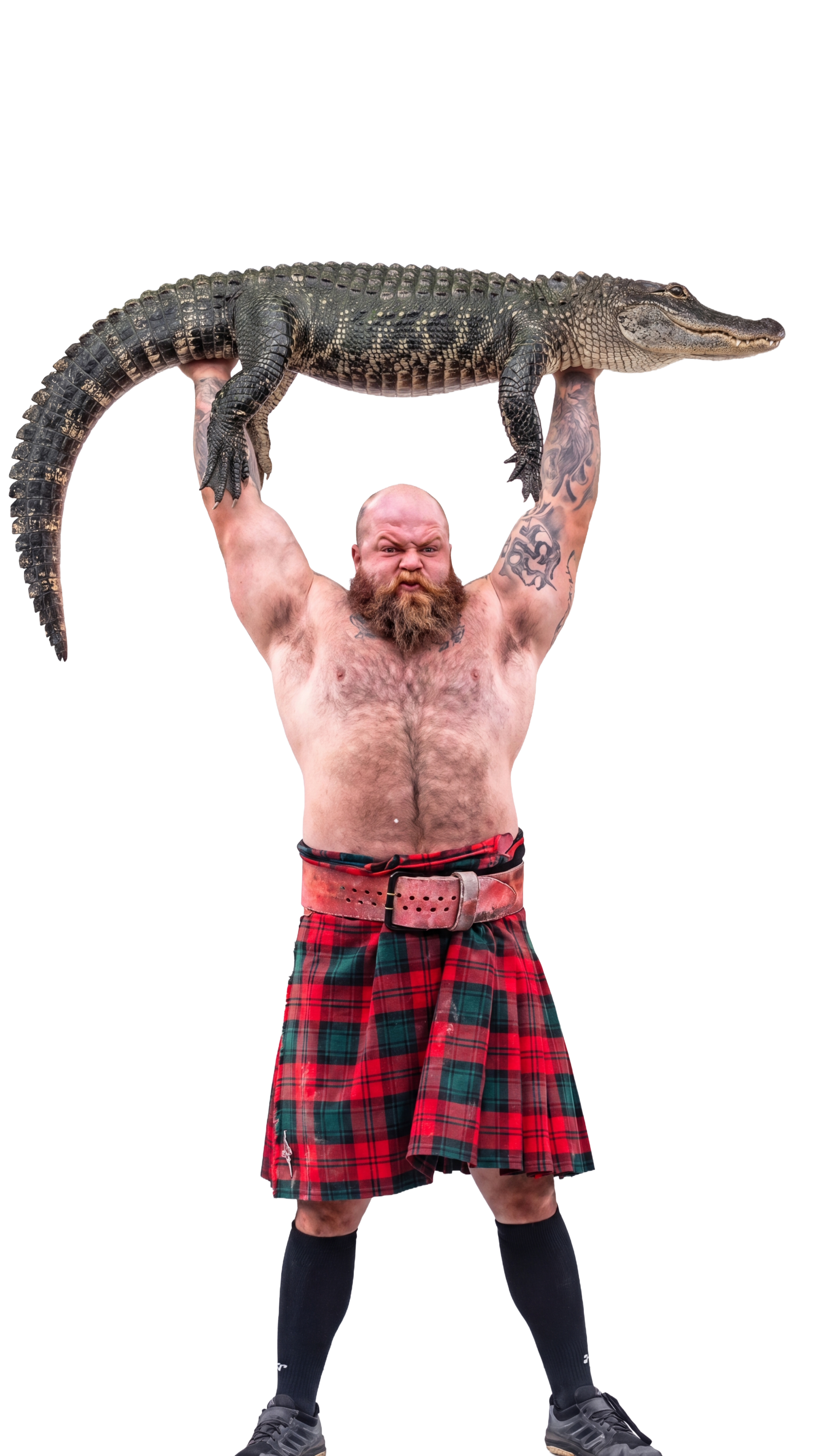 Scottish strongman holding an alligator
